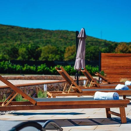 Luxury Villa Tori In Imotski, Pool Lokvicic المظهر الخارجي الصورة